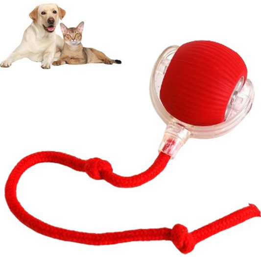 Smart Automatic Rolling Pet Ball – Interactive Cat & Dog Toy with Sensor